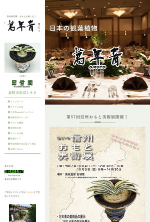 万年青オモト　鶴の舞２本 剣舞 (けんまい) Kemmai – おもとの豊明園（ほうめいえん）