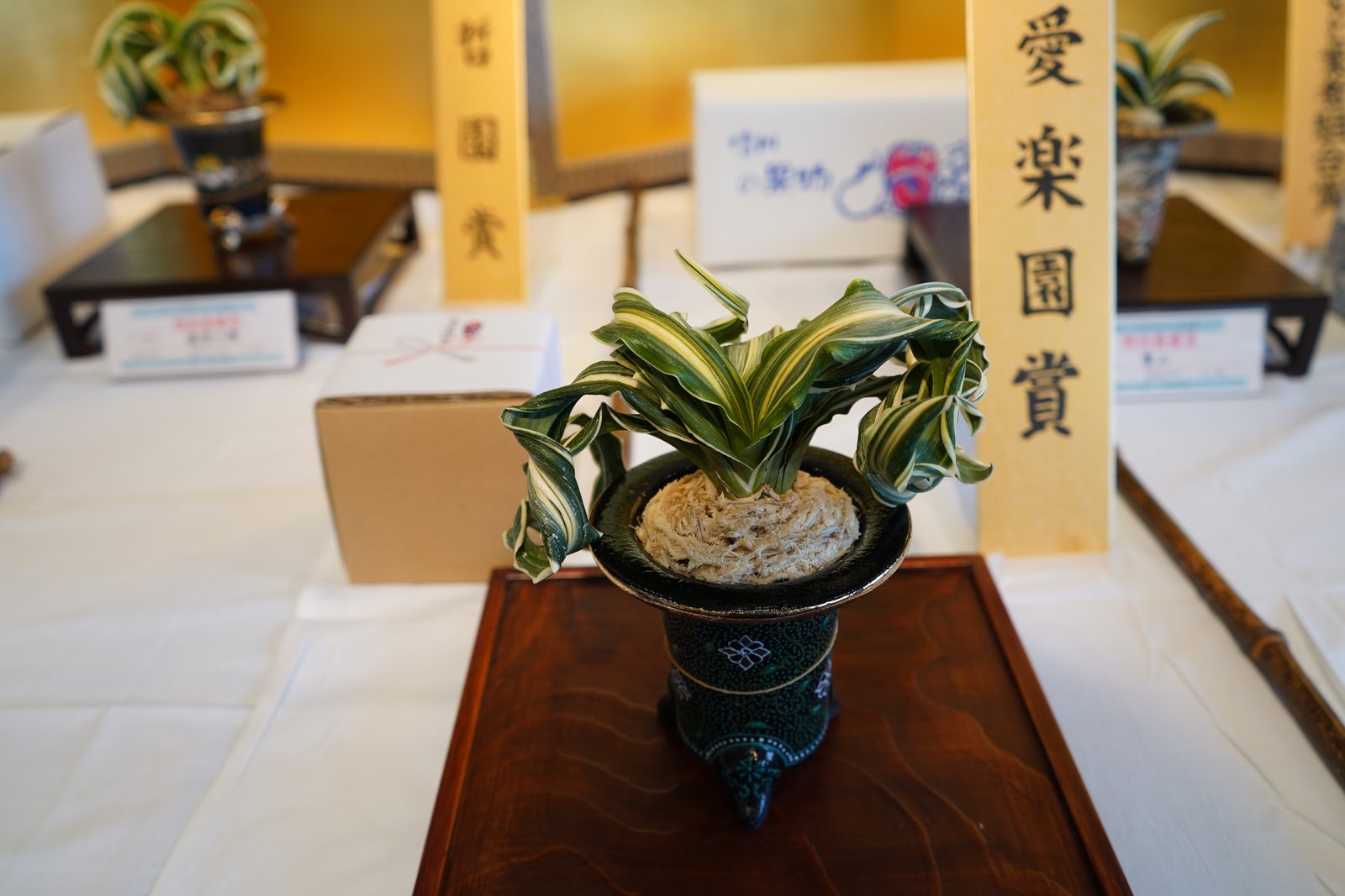 愛楽園賞　海龍獅子
