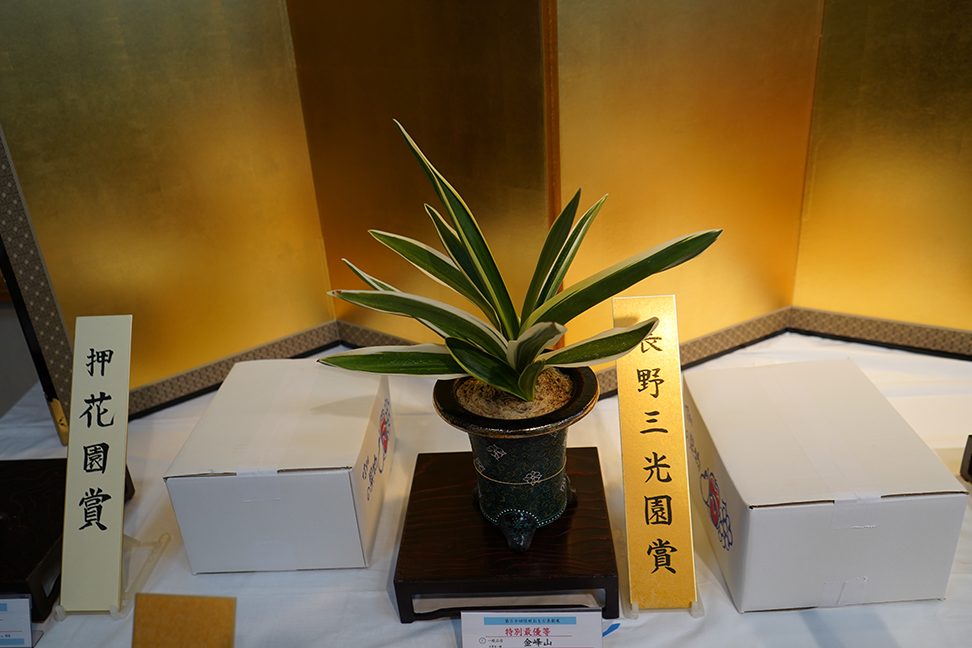 長野三光園賞　金峰山