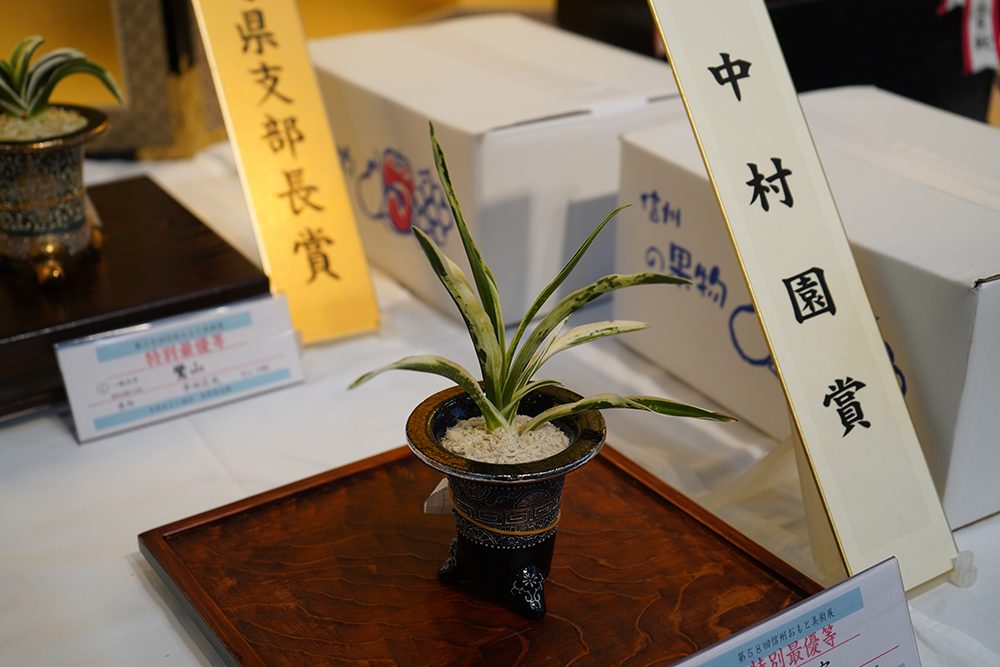 中村園賞　地球宝
