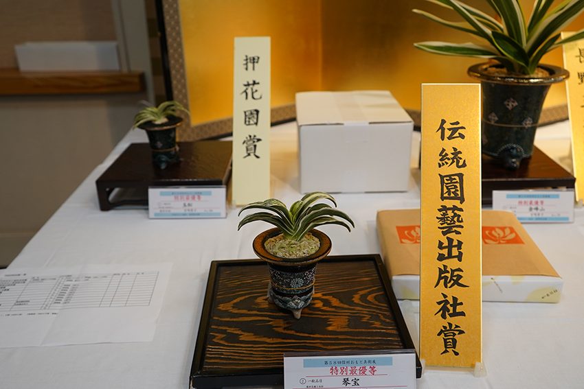 伝統園藝出版賞　琴宝