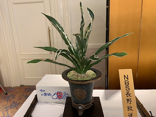 羅紗名鑑上三段