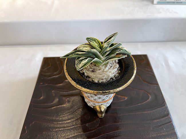 個別品種