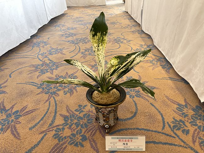 雄山