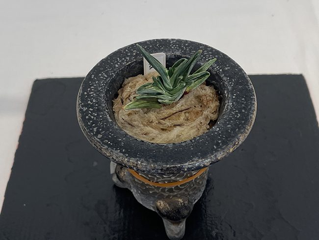 三宝(狩野実生)