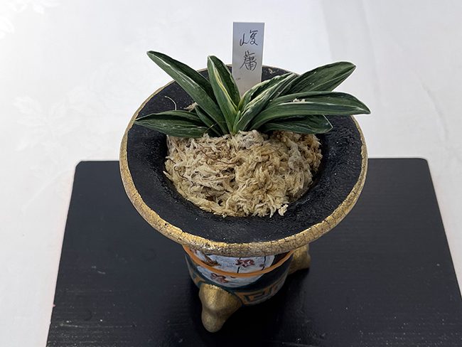 剣菱