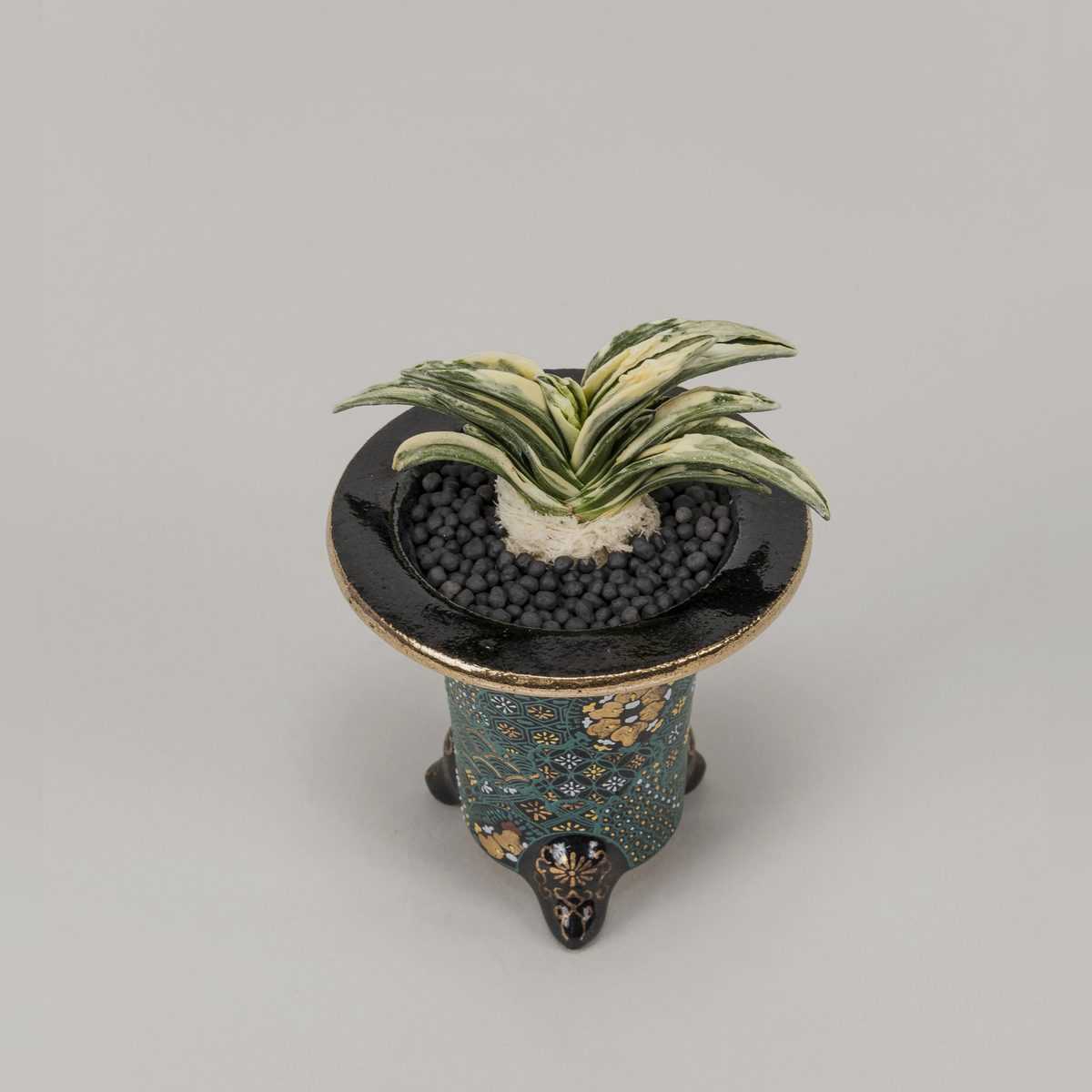 玄峻(親木)